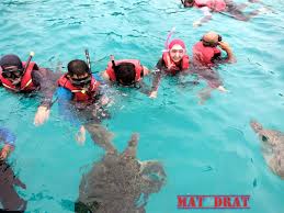 Kami bercuti ke pulau perhentian melibatkan 3 keluarga. Mat Drat Percutian Ke Pulau Redang Pakej Laguna Redang Island Resort Part Ii