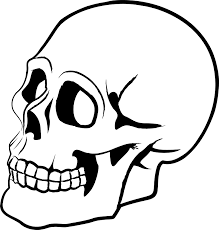 Skulls Png Image Skeleton Drawings Skull Silhouette Skull Stencil