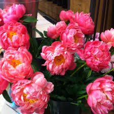 View the top 5 wedding flowers bouquets of 2021. Chilean Peonies At Central Market Today Heavenly Wedding Flowers Wedding Centerpieces Pink Peonies