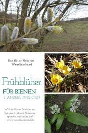 fruhbluher fur bienen und andere insekten das kleine haus am wendlandrand bienenfreundlicher garten bienenfreundliche pflanzen pflanzen