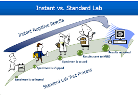 How long does detox take? Drug Testing In The Workplace Faqs Sterling