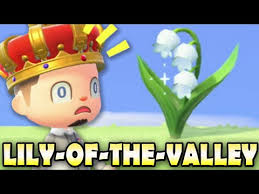 How To Get Lily Of The Valley In Animal Crossing New Horizons Jacob S Ladder Guide Youtube In 2020 Animal Crossing Jacob S Ladder Animals