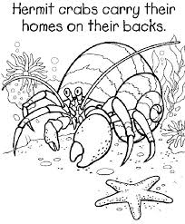 Hermit Crab Coloring Page Printable Coloring Pages Eric Carle Coloring Pages Hermit Crab