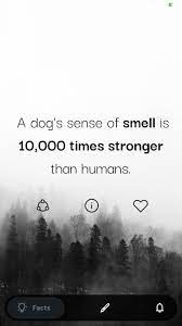 That and more in today's news. Daily Facts Smarter Every Day By Learning Trivia For Android Apk Download