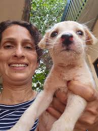 I have these 2 beautiful Bali Kintamani puppies I rescued from the gutter  who were very well behaved before I had to leave to come back to Australia.  I had my partner