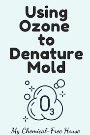 For example, if you are dealing with mold than ozone is then drawn into the interior of the car via said pipe that you need to enter through the slightly opened window. Using Ozone To Kill And Denature Mold My Chemical Free House
