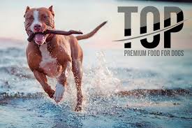 In generale l'alimentazione di un cane dovrebbe avere sempre gli stessi valori, quelli di essere sana, fresca, nutriente ed equilibrata ma anche 'in relazione' allo stile di vita dell'animale. Cibo Secco Per Cani Alimentazione Cibo Cane Dagel