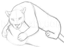 Sam killebrew, a florida state lawmaker who sponsored a bill to curb emotional support animal claims, said he went online and registered ophelia, a stuffed baboon in his office, as his. How To Draw A Jaguar Step By Step Drawing Guide By Finalprodigy Dragoart Com