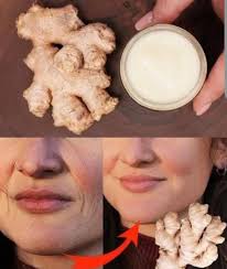 Tulalip Bay, Washington