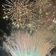 Dunkertons Cider and Fireworks Night event image