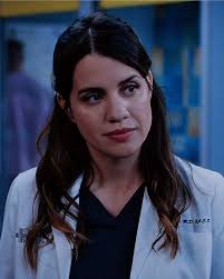 Mejores Ediciones de Grey's Anatomy con Amelia Shepherd