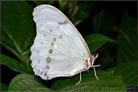 Pin En Meditacion Sanacion Y