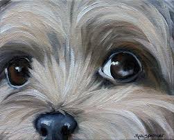 Border terrier fine art dog print by mike sibley. Peeper Yorkshire Terrier Oil Painting By Mary Sparrow Smith Yorkshireterrier Yorkie Painting Dog Paintings Yorkshire Terrier