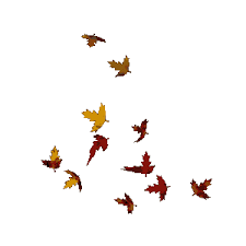Leaves Blowing In The Wind Gif Autumn Fall Seasons Gifs Wind Drawing Fall Season Seasons