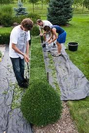 Epingle Sur Jardin