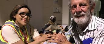 Wildlife warrior and baby wallaby keeping spirits up