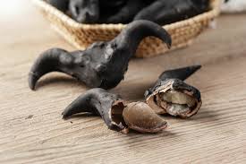 Image result for Trapa natans