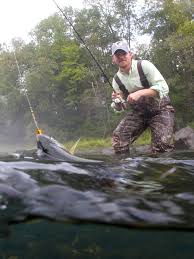 The arkansas is loaded with game fish, including largemouth bass and catfish. Where The Trout Are Arkansas Wild
