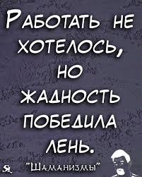 как новый год встретишь так его и проведешь это Shamanizmy Shutki Prikol Yumor Jokes Funny Humor Memes Shaman Ledentsov Sl Shaman Ledentsov Ledencov Shaman Zhiza Lyubov Yumor Sarkaz Shutki Smeshno Citaty