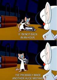 Brain is self explanatory and scheming. 15 Pinky And The Brain Ideas Pinky Animaniacs Funny