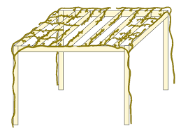 Image result for pruning grapes on a pergola