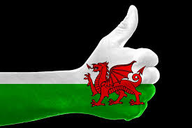 We are asking people to invest emotionally in wales and to show that they care too and that we'll all be playing our part in caring for ourselves and others. Should We Be Using The Word Welsh To Describe Ourselves