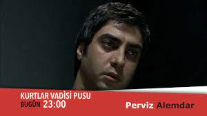 polat alemdar ustaa panosundaki pin