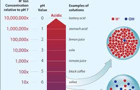 I assume that you mean the concentration (in moles/liter) of the hydrated hydrogen ion in water h30+. Small Drop In Ph Means Big Change In Acidity Woods Hole Oceanographic Institution