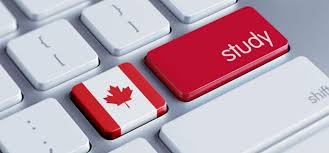 We did not find results for: Bourses Au Canada Bourses Canadiennes De La Francophonie Bourse D Etude