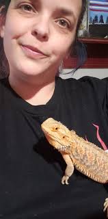 Plywood for 4x2x2 enclosure frame construction?