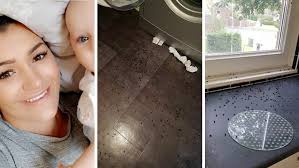 Upptäckte likmaskar och flugor i lägenheten