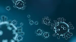 Free fire game ban in india ? Coronavirus Petitions Have Generated Over 3 590 563 Signatures