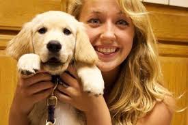 Fundraiser by Olivia Mesches : Rosie's Vet Bills