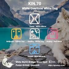 1328 Synchronometer ．Find your Galactic Signature ．《 維心書苑 》