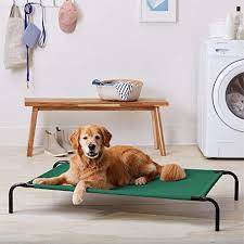 The 14 best dog beds of 2021, according to experts. Amazon Basics Replacement Cover For Cooling Elevated Pet Bed Large Green Pricepulse