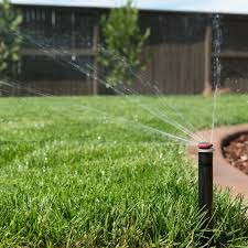 259 reviews ) my family has been in the lawn care industry for a long time in pinellas county. 5 Best Lawn Care Services Of 2021 This Old House