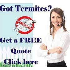 Action termite & pest control is the best pest control & termite control experts in phoenix. Pest Control In Phoenix Yelp