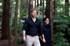 Mit großer freude heißen prinz harry und meghan, der herzog und die herzogin von sussex, ihre tochter lilibet lili diana. Prinz Harry Herzogin Meghan Ihr Neues Projekt Wird Ihrer Tochter Gefallen Gala De