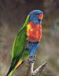 Bird Art Rainbow Lorikeet Australian Bird Painting Original Hand Painted Wildlife Acrylic Painting Realistic Bird Wall Art Sfa