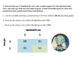 Create a punnett square to show the possibilities that would result if spongebob and 7. Sponge Bob Genetics I Love Mr V Class