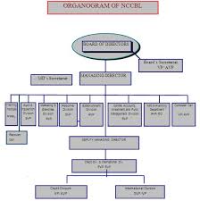 overall banking system of ncc bank limited assignment point