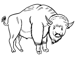 The original format for whitepages was a p. Free Printable Bison Coloring Pages For Kids