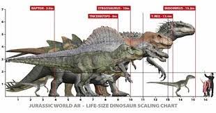 Check spelling or type a new query. Why Do People Say That The T Rex In Jurassic Park 3 Was Not Fully Grown Quora