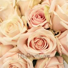 Creamy Pink Candy Bianca Rose Fiftyflowers Com