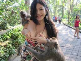 Discover the wonders of the likee. Video Lucu Mau Ngerjain Cewek Eh Malah Dikerjain Video Dailymotion