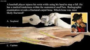Tenderness At The Anatomical Snuff Box Youtube The first of a new series examining the wonders of the human body. tenderness at the anatomical snuff box