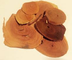 A study evaluating the testosterone promoting benefits of tongkat ali also. 500 Grams Tongkat Ali Slices Red Stema Tuberosa Wildharvested Indonesia Our Sacred Garden