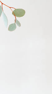 Wallpaper edge white wallpaper geometric wallpaper wallpaper downloads mobile wallpaper wallpaper backgrounds phone backgrounds wallpapers cellphone wallpaper. Download Premium Image Of Green Branch On White Mobile Phone Wallpaper Beautiful Wallpapers For Iphone Phone Wallpaper Wallpaper