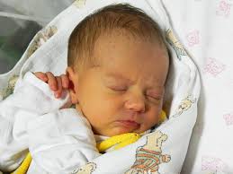 Fotogalerie: Právě jsme se narodili