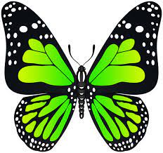 Pin By Rhonda Upchurch On Schmetterlinge Valentines Day Coloring Page Butterfly Pictures Butterfly Clip Art